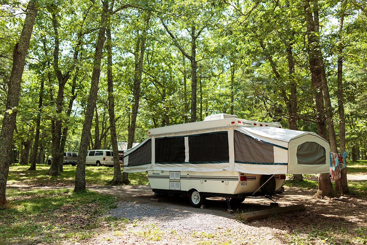 Pop-up camper on a wooded site at Big Meadows Campground