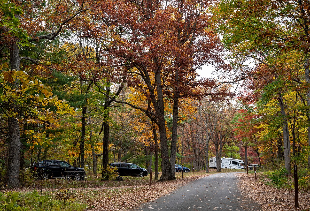 Fall color along a campground loop road at Mathews Arm with an RV parked under the trees