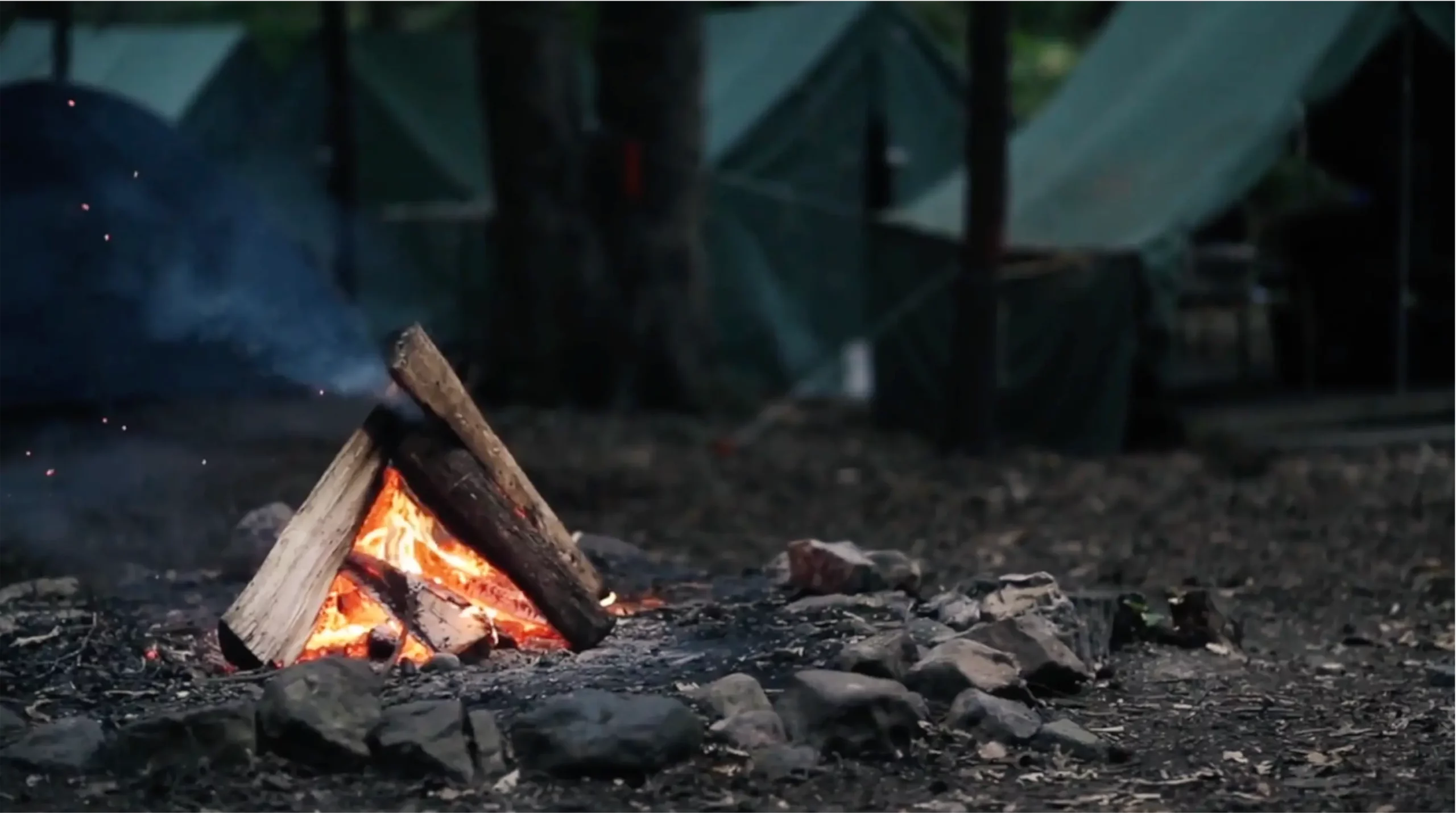 Camp Shenandoah BSA