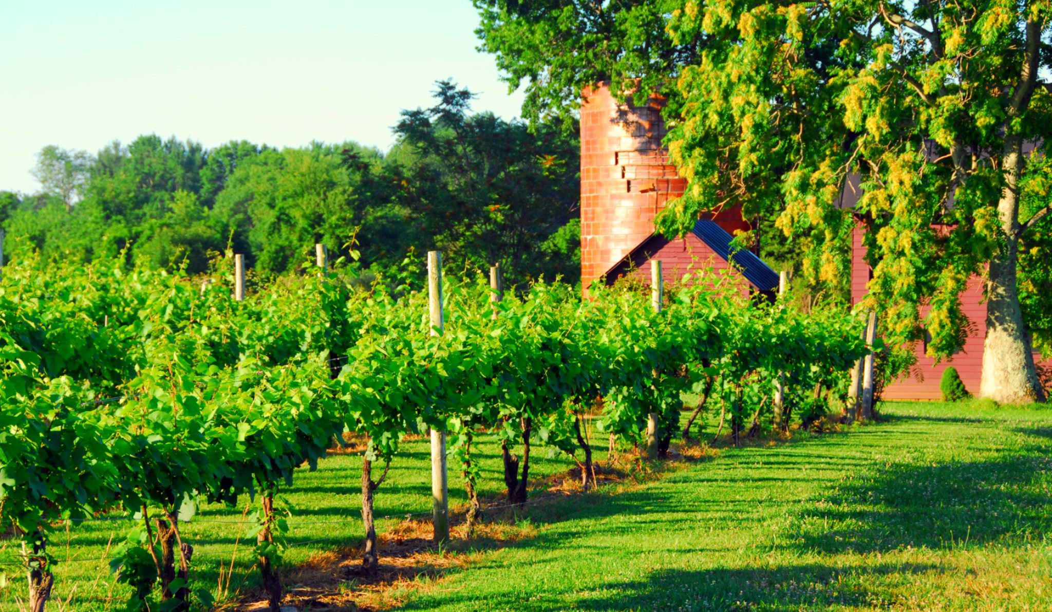 Pearmund Cellars Winery