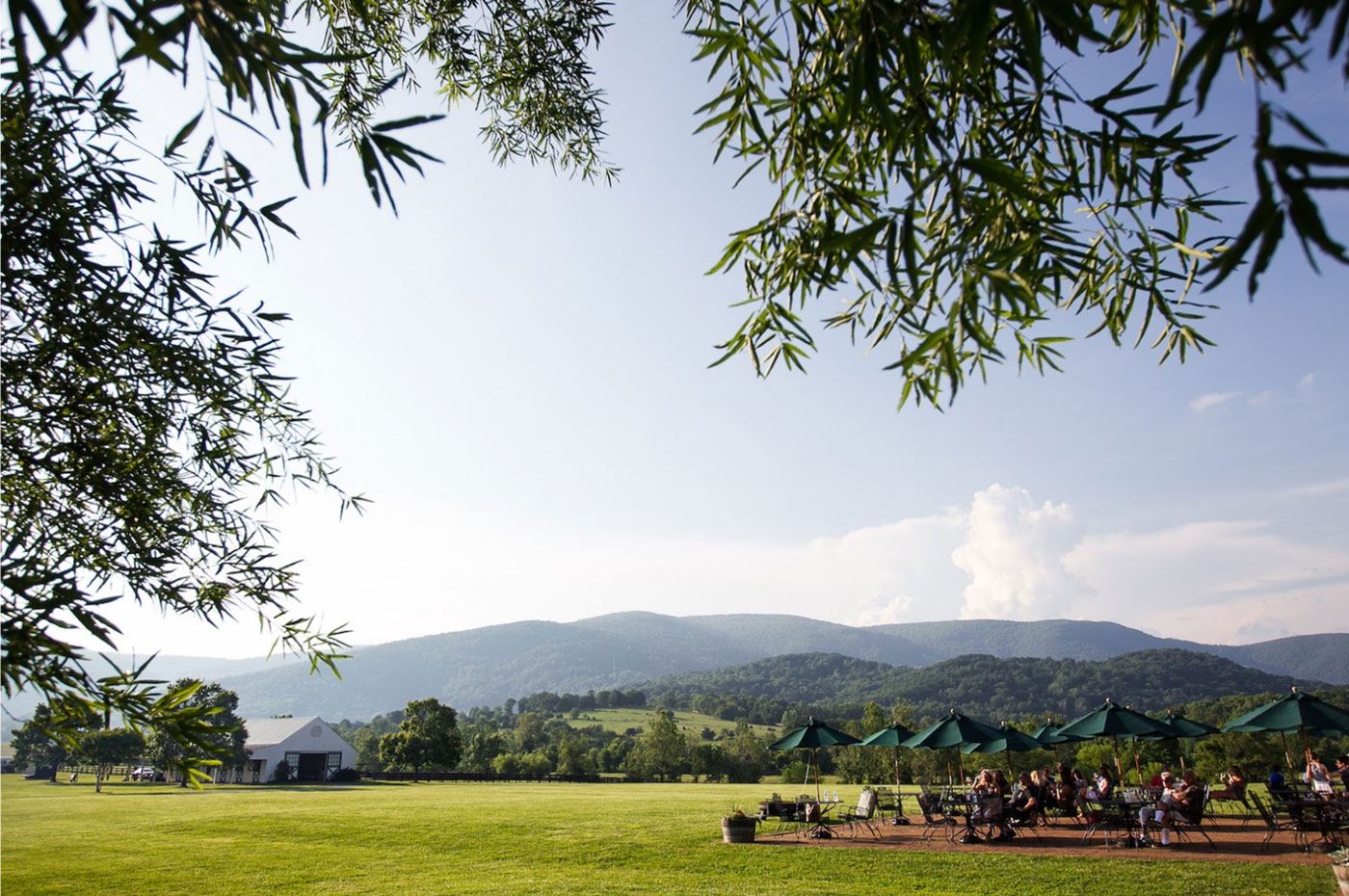 King Family Vineyards