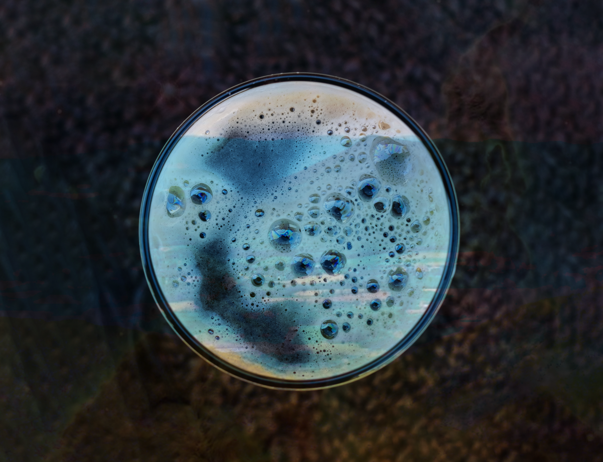 Brothers Craft Brewing
