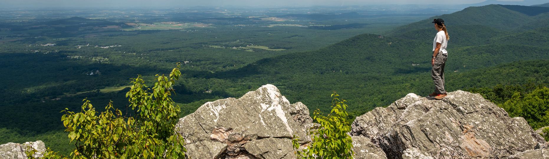 Dark Hollow Falls Trail