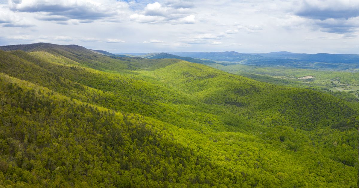 Warm Springs Mountain