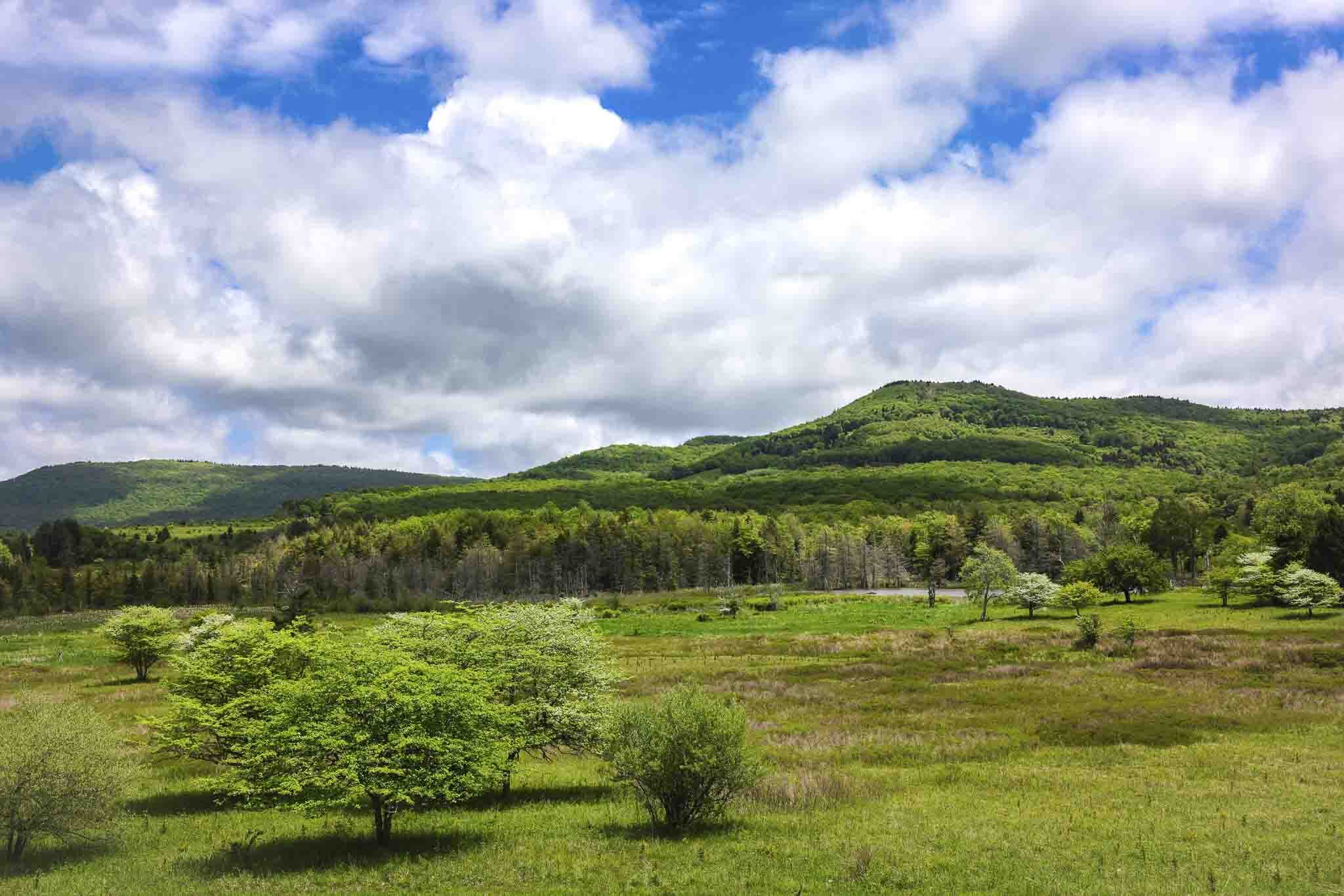 Canaan Valley Resort Campground
