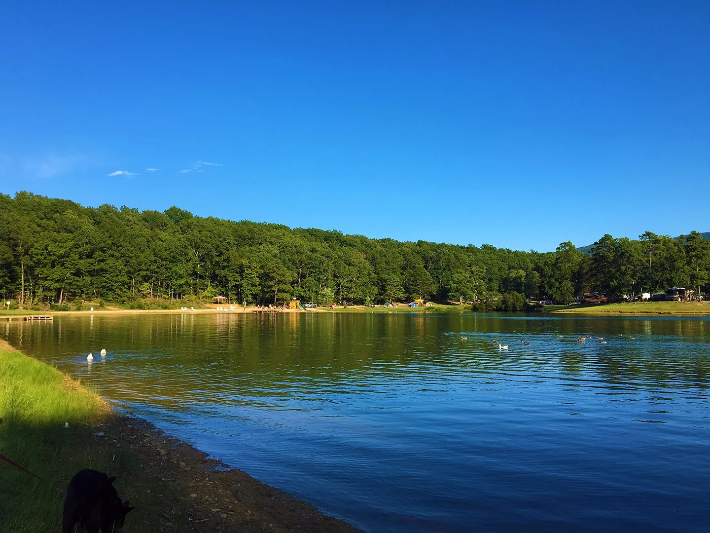 Stoney Creek Resort & Campground