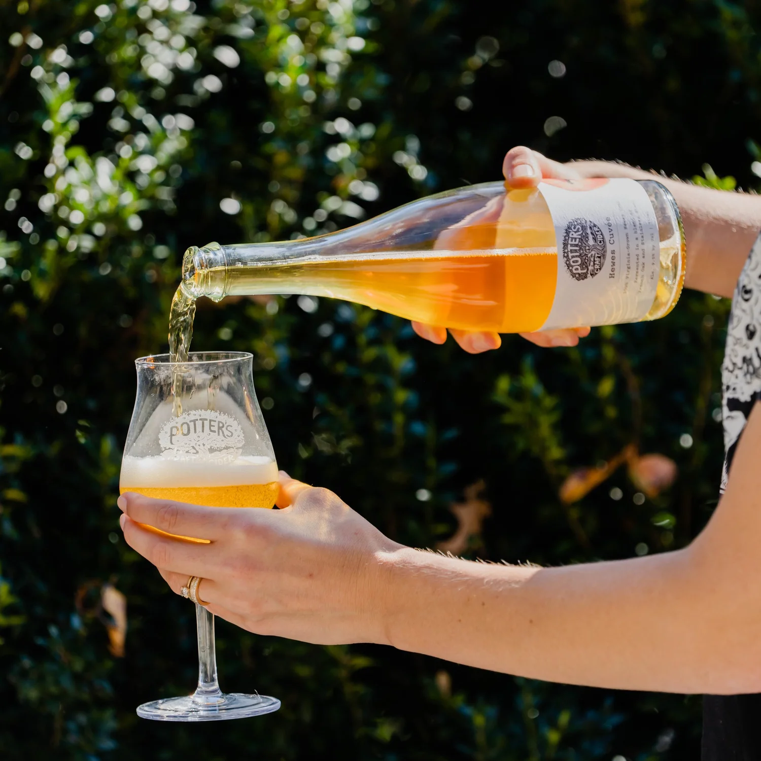 Potter's Craft Cider