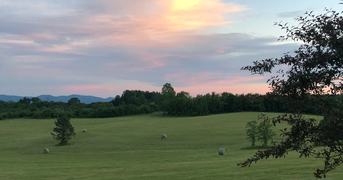Virginia Mountain Vineyards