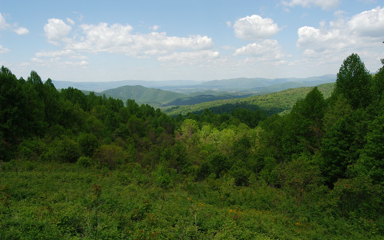 Skyline Drive: A Mile-by-Mile Guide